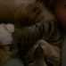 Ella Talley - Facebook