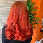 Ella Templeton - @hair_by_ellatempleton_ - Instagram