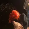 ellathatcher451 - @ellathatcher451 - TikTok