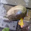 ella.theriot - @ella.theriot - TikTok