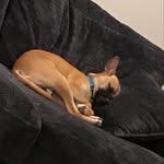 Ellie Theriot - @ellie_122345 - Instagram