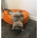 Ella Thorpe - @ellathorpe1 - Instagram
