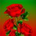 Tozman Ali - Facebook