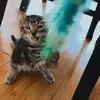 Ella Tierney - @..emoji_hype..housexx - TikTok