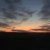 ella.tierney.20 - @ella.tierney.20 - TikTok