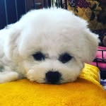 Ella Tkach - @ella_tkach_ - Instagram