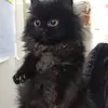 Ella Torres - @ella.torressssss - TikTok