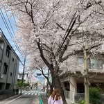 Ella Chan - @ellatower - Instagram