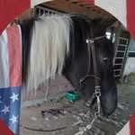 Ella Troyer - @troyer6177 - Instagram