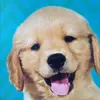 Ella Tryon - @omg.spamzzzz - TikTok