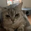 ellatsang2 - @ellatsang2 - TikTok