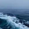 Ella - @ellaturk_02 - TikTok