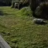 ella turk-00 - @ellaturk2 - TikTok