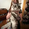 Ellatuttle - @ella_tuttle75 - TikTok
