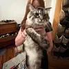 Ellatuttle - @ella_tuttle75 - TikTok