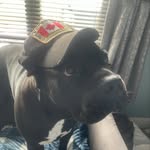 Ella tweed - @ellaxtweed - Instagram