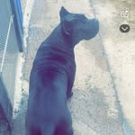 ellatweedddx - @ellaxtweedxx - Instagram