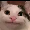 ella.tyrrellq1 - @ella.tyrrellq1 - TikTok