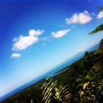 Ella Tyson-willcox - @rad_circles103.5 - Instagram