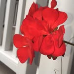 Ella Ulrich - @ellaulrichphotography - Instagram