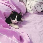 Ella unger - @ellaunger53 - Instagram