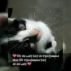 ella unger - @elli7886 - TikTok