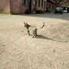 ella unger - @ella.unger2004 - TikTok