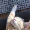 ella - @ella_upton - TikTok