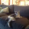 ellaupton004 - @ellaupton004 - TikTok