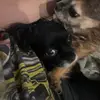 ellavader77 - @ellavader77 - TikTok