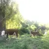 Ella Vasquez - @ella..vasquez - TikTok