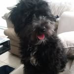 Ella Vega - @ella_the_mauzer - Instagram