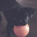 Ella_Vxnri - @ella_venneri - Instagram