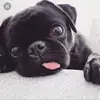 Ella Rose Vernon - @ellarosevernon - TikTok
