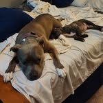 Ella & Virgil - @thelifeofellaandvirgil - Instagram