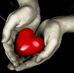 Ella Vogt - Facebook