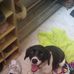 Ella Vogt - Facebook