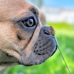 Helena Hamernik - @ella_von_golden_bullys_ - Instagram