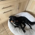Ella Wakefield - Facebook