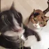 Ella Walter - @editor123123123 - TikTok