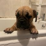 Ella Ware - @ella_ware_2002 - Instagram
