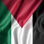 Mohamed ELlawash - @mohamedellawash - Instagram
