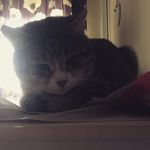 Ella Webber - @ella.webber.921 - Instagram