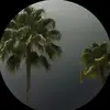 Eloise - @ellaweinerr - TikTok