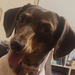 Tink Ella Weiner - @tinkellaweiner - Instagram