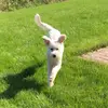 Ella - @ellaweiss2017 - TikTok