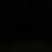 Ella Wellman - @ellawellman_4801 - TikTok