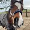 Ella🤍 - @ella_x.de_welsh - TikTok