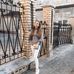 Eleanor Westerman - Facebook