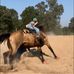 Ella Westfall - Facebook
